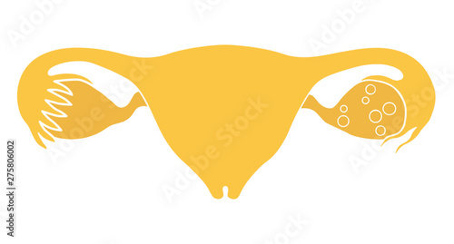 Iinternal organs of women. Uterus, ovaries and fallopian tubes. Vector illustration, flat design. Isolated on white background