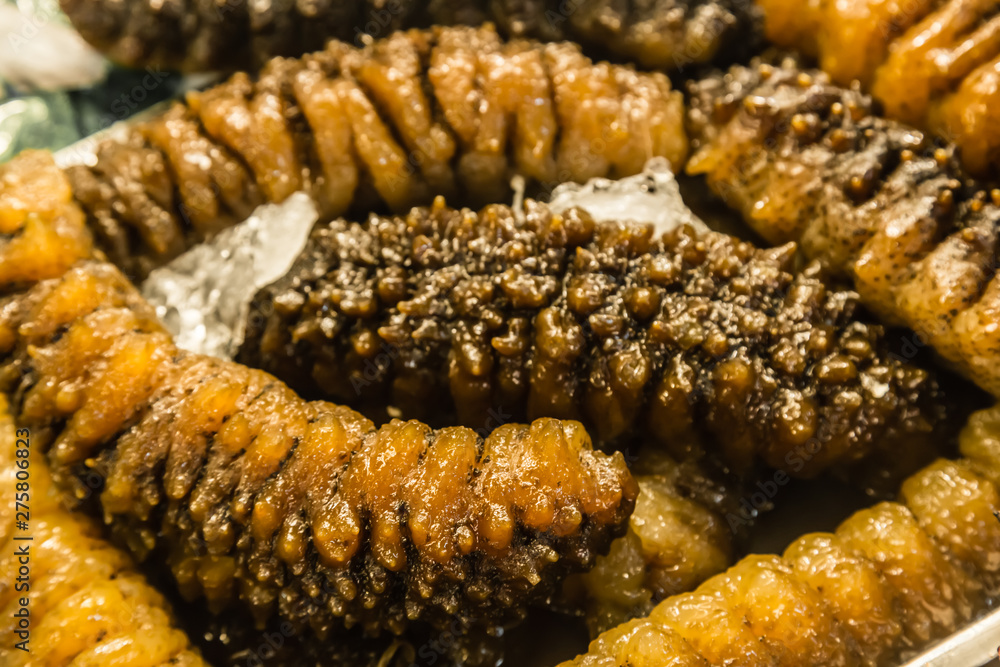 sea cucumber closeup in market background sea cucumber closeup in market background