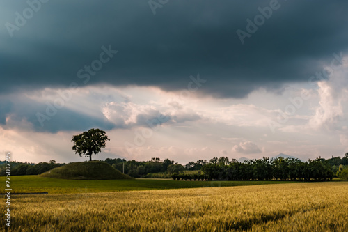 Storm in the fields of Friuli Venezia-Giulia