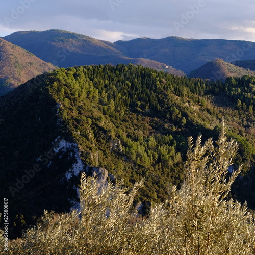 Montefranco Umbria Italy La Valnerina Olive trees