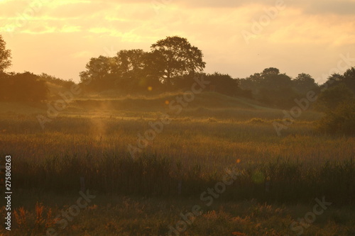 Sonnenaufgang 