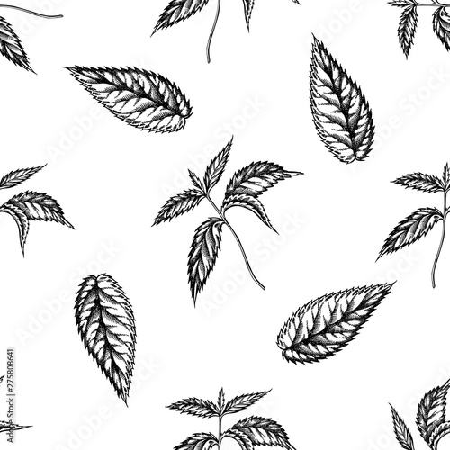 Seamless pattern with black and white nettle
