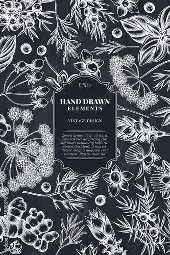 Card design with chalk angelica, basil, juniper, hypericum, rosemary, turmeric