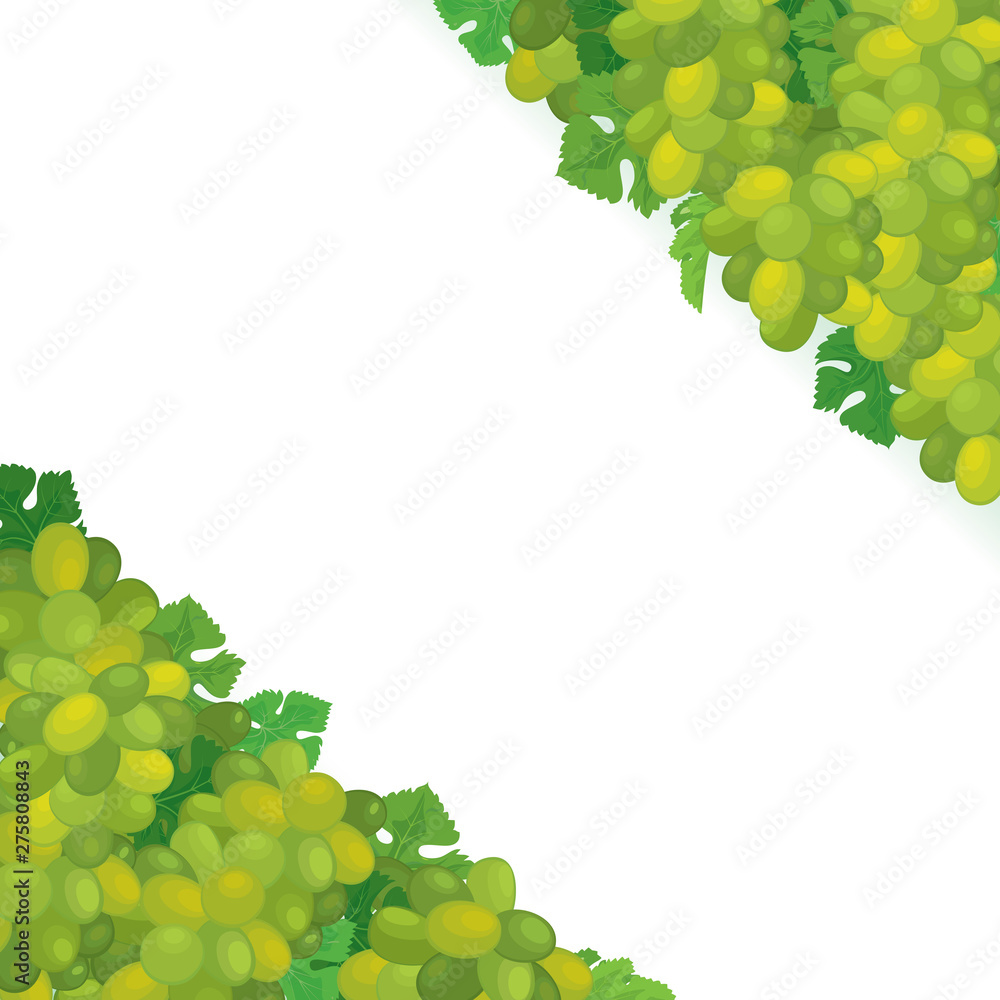 Vector bunches of green wine grape with green leaves background design template. Vector bunches of green wine grape with green leaves background design template.