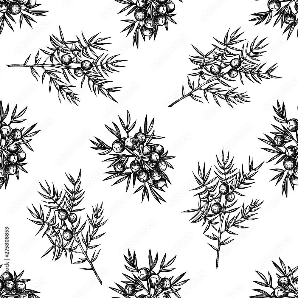 Seamless pattern with black and white juniper Seamless pattern with black and white juniper