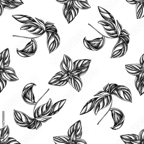Seamless pattern with black and white basil