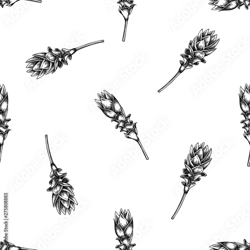 Seamless pattern with black and white turmeric