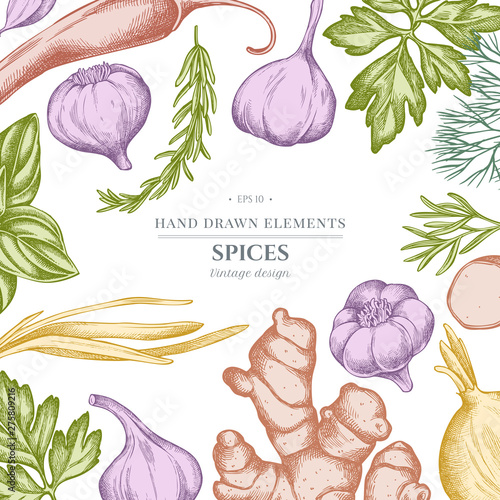 Floral design with pastel onion, garlic, pepper, greenery, ginger, basil, rosemary