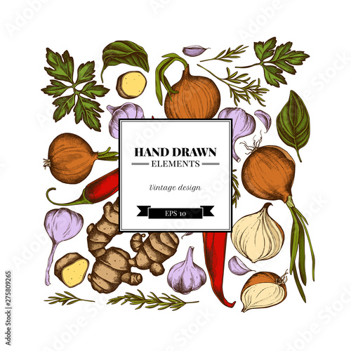 Square floral design with colored onion, garlic, pepper, greenery, ginger, basil, rosemary
