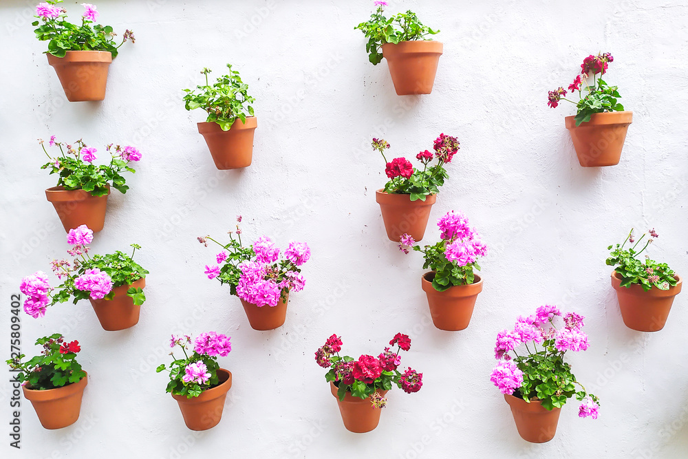 white wall with flower pots