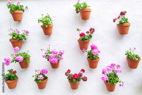 Obraz na płótnie white wall with flower pots w salonie