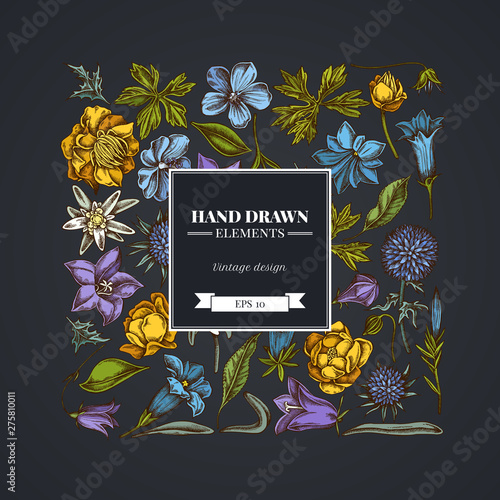 Square floral design on dark background with bellflower, edelweiss, globethistle, globeflower, meadow geranium, gentiana