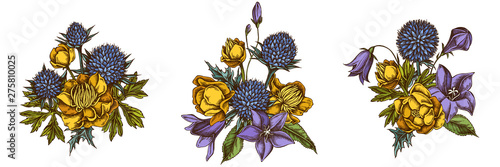Flower bouquet of colored bellflower, globethistle, globeflower