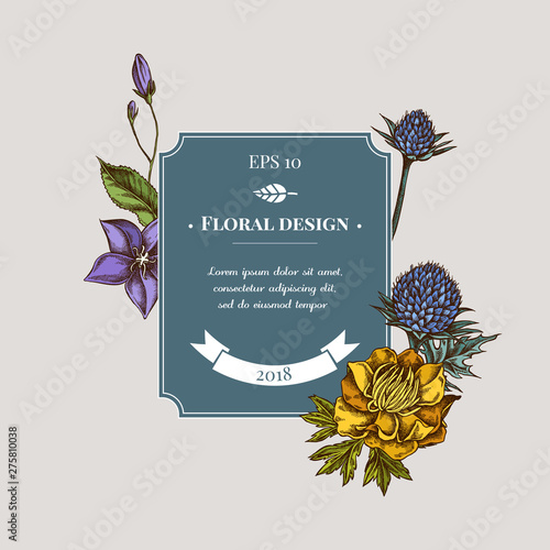 Badge design with colored bellflower, globethistle, globeflower