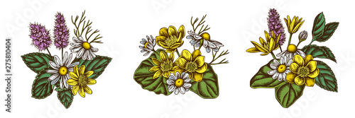 Flower bouquet of colored celandine, chamomile, peppermint
