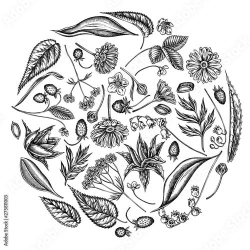 Round floral design with black and white aloe, calendula, lily of the valley, nettle, strawberry, valerian