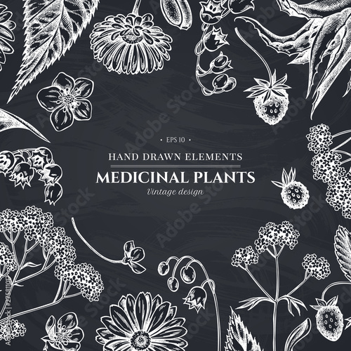 Floral design with chalk aloe, calendula, lily of the valley, nettle, strawberry, valerian