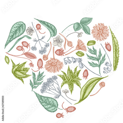 Heart floral design with pastel aloe, calendula, lily of the valley, nettle, strawberry, valerian