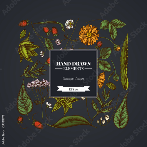 Square floral design on dark background with aloe, calendula, lily of the valley, nettle, strawberry, valerian