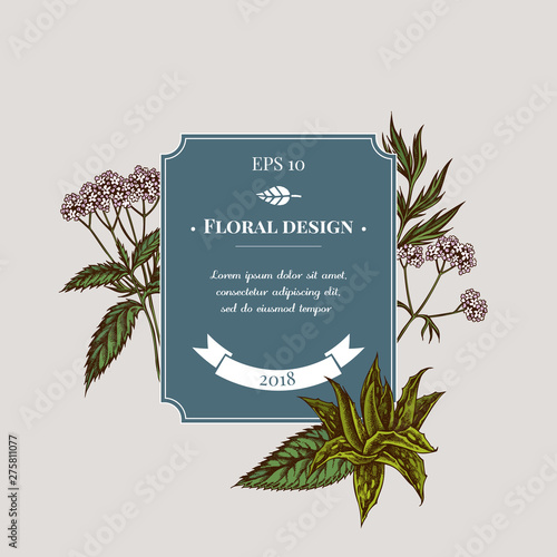 Badge design with colored aloe, nettle, valerian