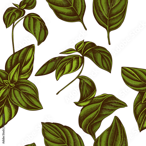 Seamless pattern with hand drawn colored basil