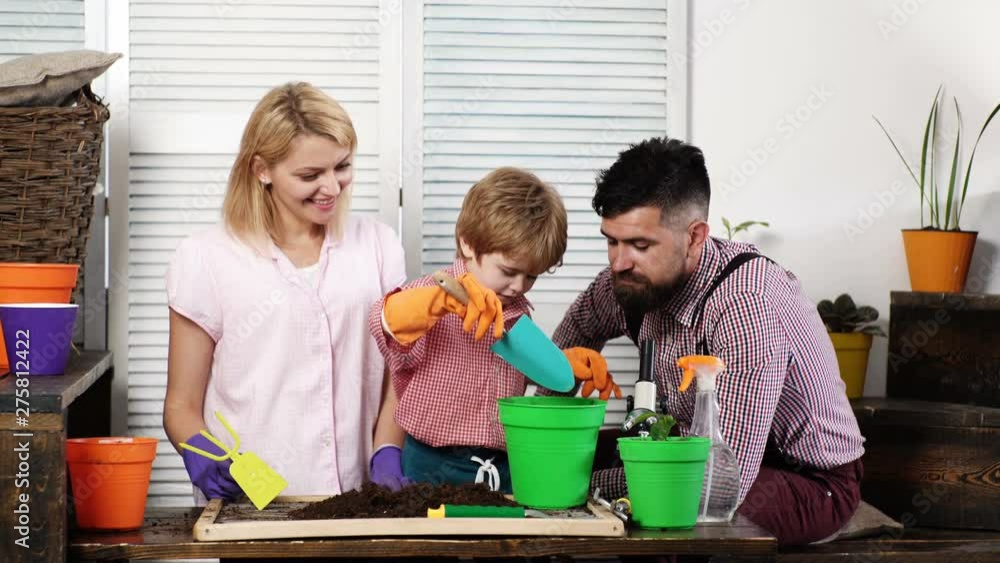 Gardening hobby. Dad, mom teaching little son care plants. Summer ...