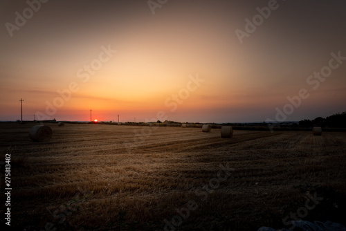 Beautiful view of a wheat field, full of the characteristic bales. The shot is taken at sunrise during a summertime day Sicily, Italy © gpiazzese