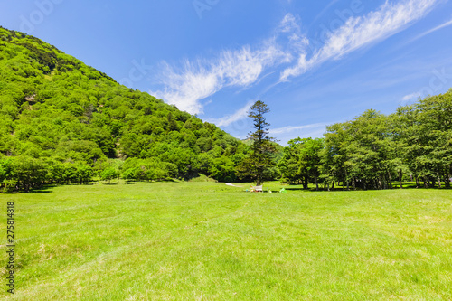 Photos キャンプ場と森