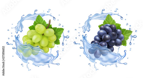 Red and white table grapes in water splash Bunch of wine grapes realistic set