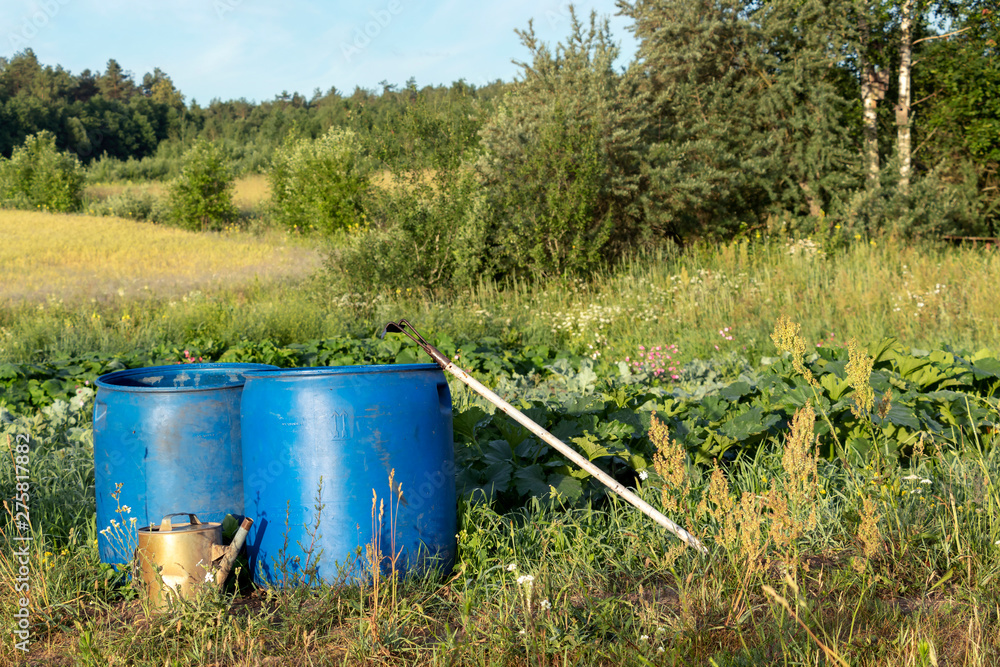 Vegetables growing in permaculture garden, traditional countryside landscape Vegetables growing in permaculture garden, traditional countryside landscape
