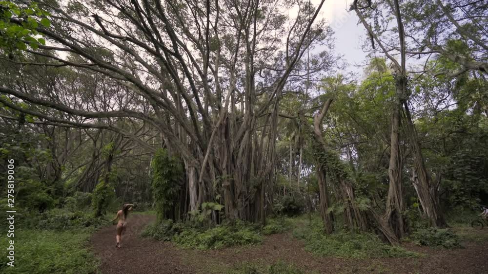 Pan Up: Woman In Bathing Suit Walking Through Kauai Tall Forest, Kauai, Hawaii Pan Up: Woman In Bathing Suit Walking Through Kauai Tall Forest, Kauai, Hawaii
