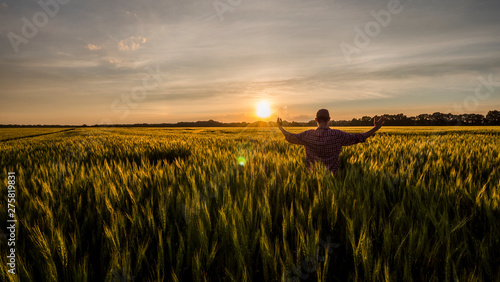 Young farmer admires his wheat field photo