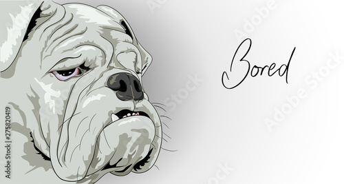 Illustration of an English bulldog who is bored