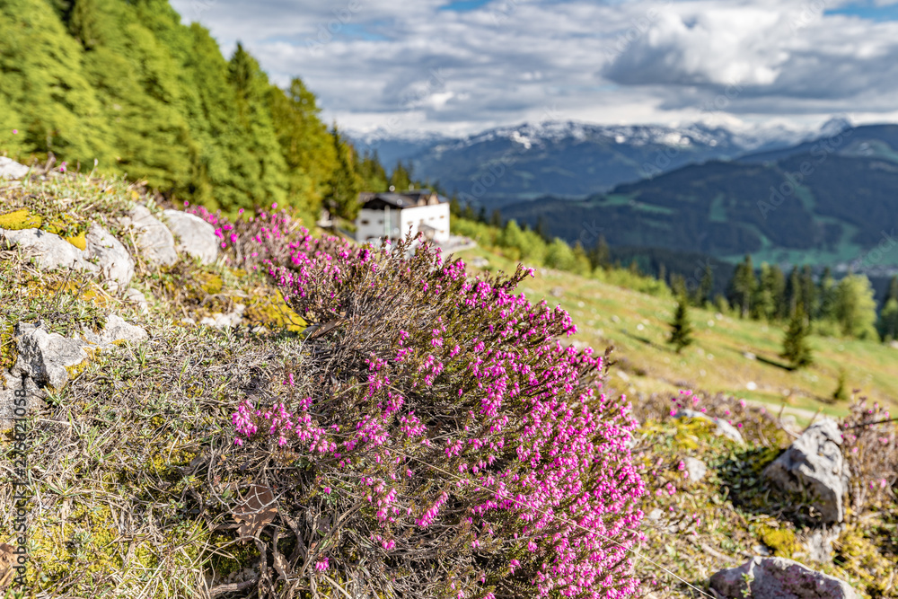 Frühling am Wilden Kaiser in Tirol