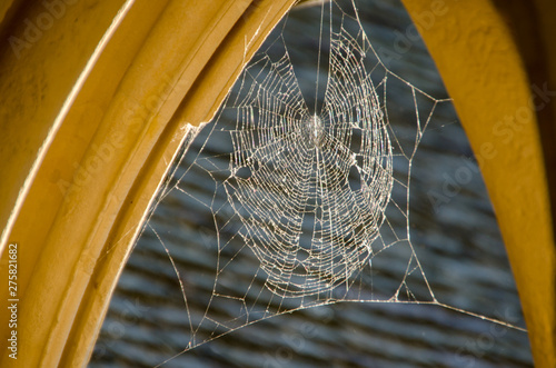 Detail of arches with spider web in Mont Saint Michael. France photo