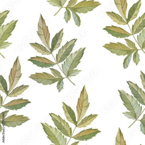 Seamless watercolor pattern. Watercolor painted leaves. Design element. Elegant leaves for art design. Hand painted leaves on white background.