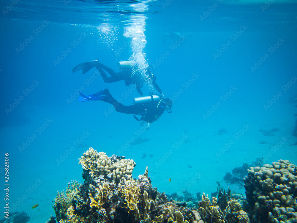 Dive instructor showing first dive in open water