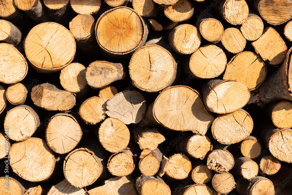 Pile of tree stumps, woods structure Pile of tree stumps, woods structure