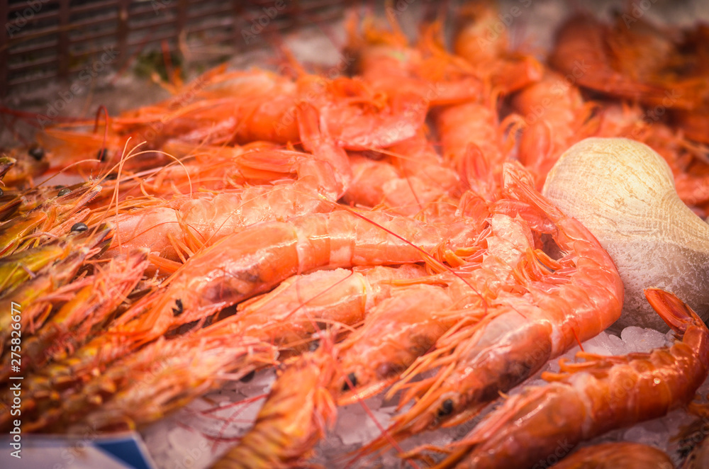 fresh seafood within the fish market in Spain - octopus, shells, shrimps, fish, oysters, lobster 