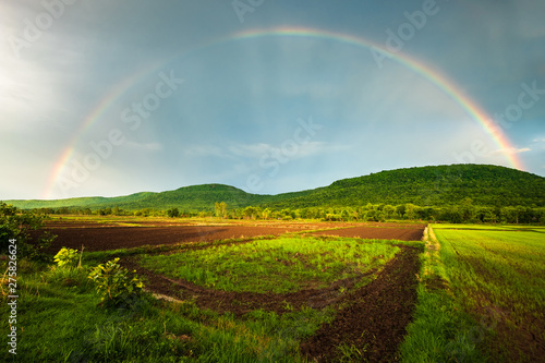 Rainbow Over the Rice Farm © patpitchaya