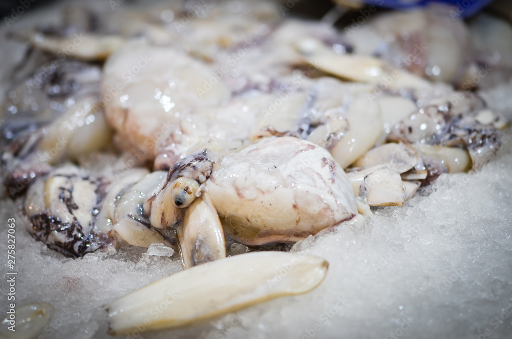 fresh seafood within the fish market in Spain - octopus, shells, shrimps, fish, oysters, lobster 