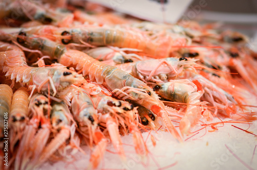 Wallpaper Mural fresh seafood within the fish market in Spain - octopus, shells, shrimps, fish, oysters, lobster  Torontodigital.ca