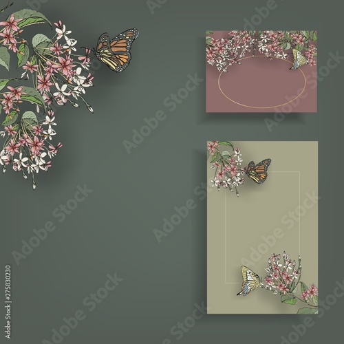 Vector set of painted flowers Rangoon Creeper with butterflies for greeting cards and advertising media background.