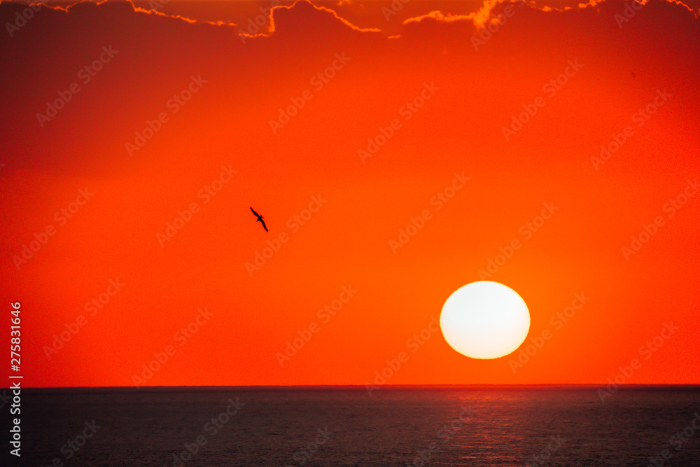 beautiful sunset on the beach of the Azov Sea beautiful sunset on the beach of the Azov Sea
