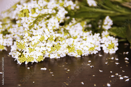 Flowers on a table sprinkled with petals