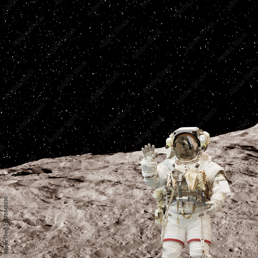 Obraz premium Astronaut posing on the moon. The elements of this image furnished by NASA.