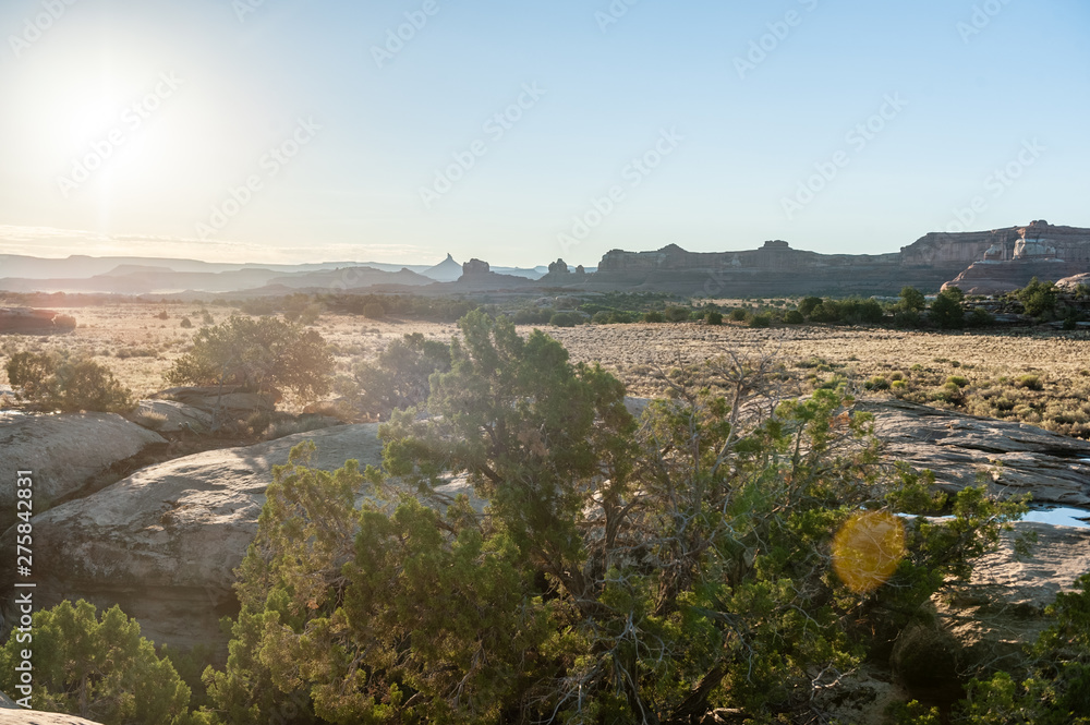 Sunrise at the Needles District Campground. Canyonlands National Park, Utah