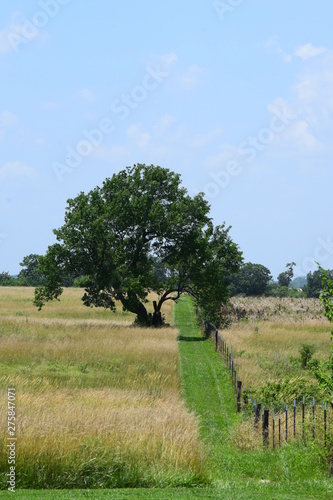 Field photo