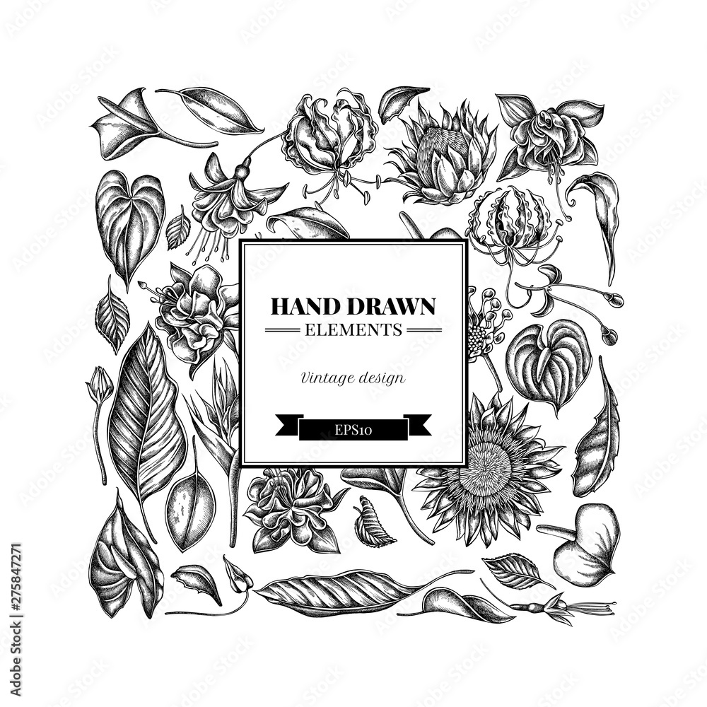 Square floral design with black and white african daisies, fuchsia ...