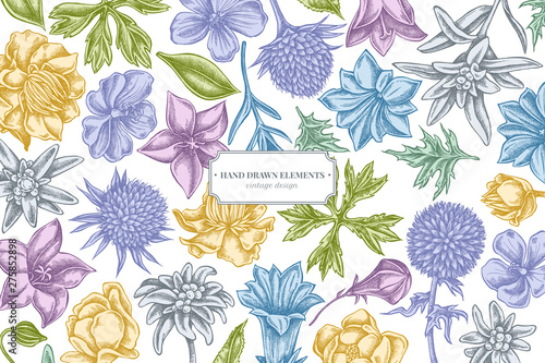 Floral design with pastel bellflower, edelweiss, globethistle, globeflower, meadow geranium, gentiana
